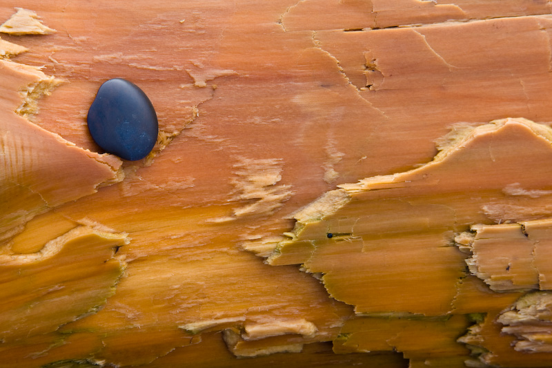 Pebble On Driftwood